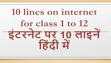 10 lines on internet in Hindi