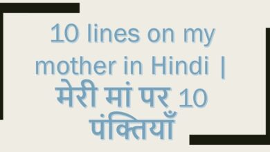 10 lines on my mother in Hindi