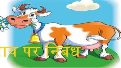 Essay on cow in Hindi