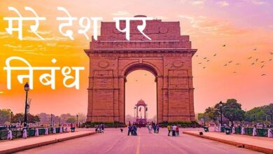 Essay on my country in hindi