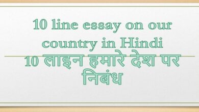 our country 10 line essay in hindi