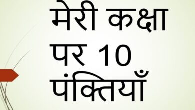 10 lines on class in Hindi
