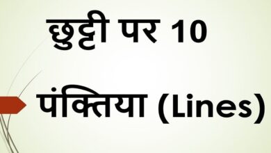 10 lines on holidays in Hindi
