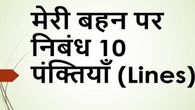 10 lines on my sister in Hindi