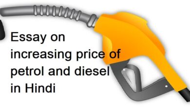 Essay on increasing price of petrol and diesel in Hindi