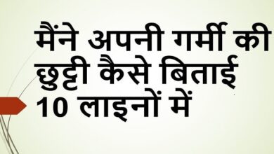 How I Spent My Summer Vacation 10 lines in hindi