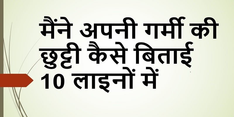 How I Spent My Summer Vacation 10 Lines In Hindi