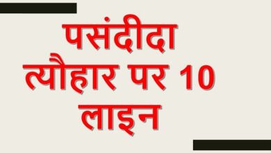 10 lines on my favourite festival in Hindi