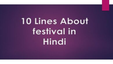 10 Lines About festival in Hindi