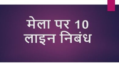 10 Lines on fair in Hindi