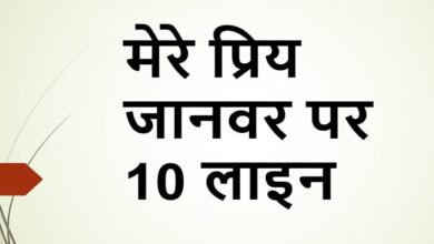 10 lines on my favourite animal in Hindi
