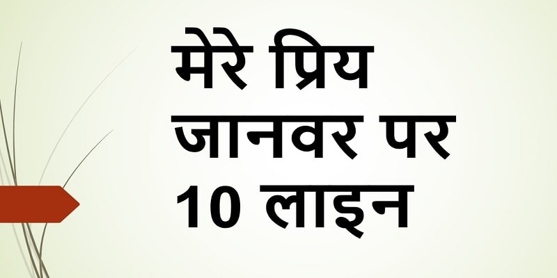 10 Lines on My Favourite Animal in Hindi | मेरे प्रिय जानवर पर 10 वाक्य »