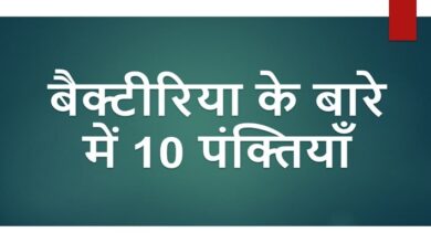 10 Lines About Bacteria in Hindi