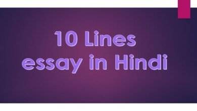 10 Lines essay in Hindi