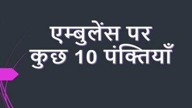 10 Lines on ambulance in Hindi