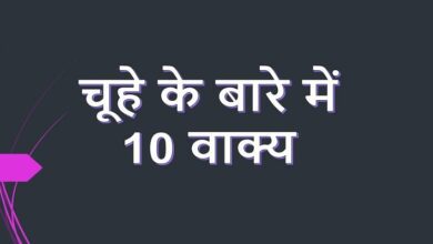 10 Lines on mouse in Hindi