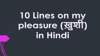 10 Lines on my pleasure in Hindi