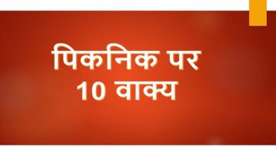 10 Lines on picnic in Hindi