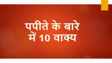 10 Sentences on papaya in Hindi