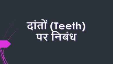 Essay on teeth in Hindi