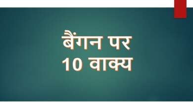 10 Lines on Brinjal in Hindi