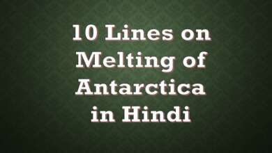 10 Lines on Melting of Antarctica in Hindi