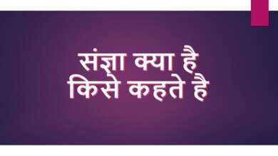Noun in Hindi