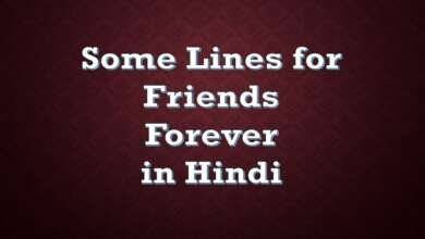 Some 10 Lines for Friends Forever in Hindi