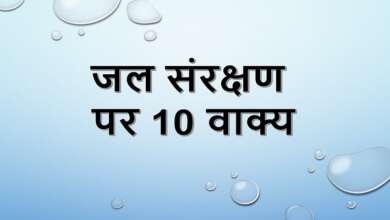 10 Lines on Water Conservation in Hindi