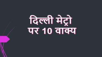 10 Lines on Delhi Metro in Hindi