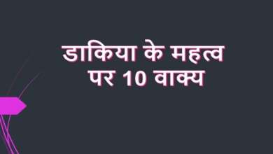 10 Lines on Importance of Postman in Hindi