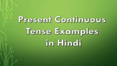 Present Continuous Tense Examples in Hindi