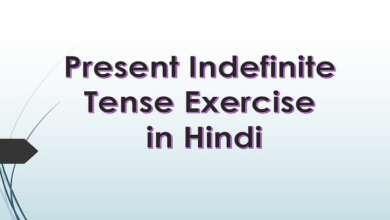 Present Indefinite Tense Exercise in Hindi