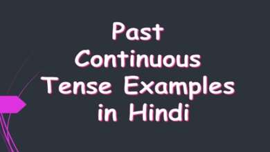 Past Continuous Tense Examples in Hindi
