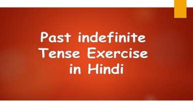 Past indefinite Tense Exercise in Hindi
