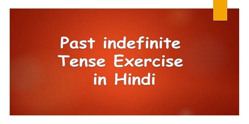 past-indefinite-tense-exercise-in-hindi-pdf