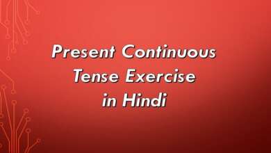 Present Continuous Tense Exercise in Hindi