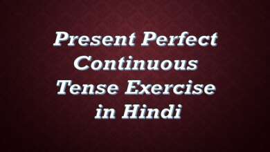 Present Perfect Continuous Tense Exercise in Hindi