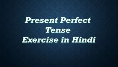 Present Perfect Tense Exercise in Hindi