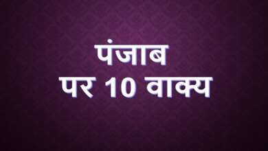 10 Lines on Punjab in Hindi