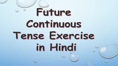 Future Continuous Tense Exercise in Hindi