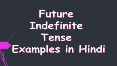 Future Indefinite Tense Examples in Hindi