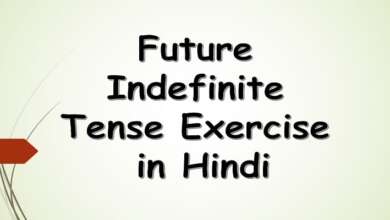 Future Indefinite Tense Exercise in Hindi