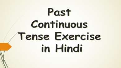 Past Continuous Tense Exercise in Hindi
