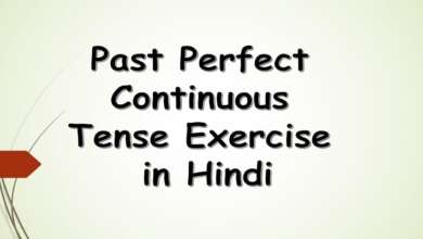 Past Perfect Continuous Tense Exercise in Hindi