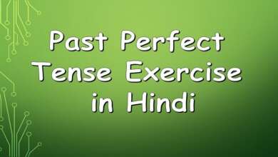 Perfect Tense Exercise in Hindi
