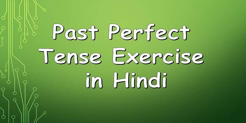 past-perfect-tense-exercises-in-hindi-pdf