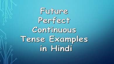 Future Perfect Continuous tense Examples in Hindi