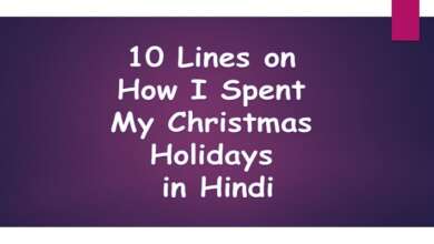 10 Lines on How I Spent My Christmas Holidays in Hindi
