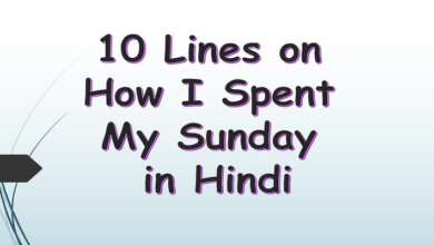 10 Lines on How I Spent My Sunday in Hindi
